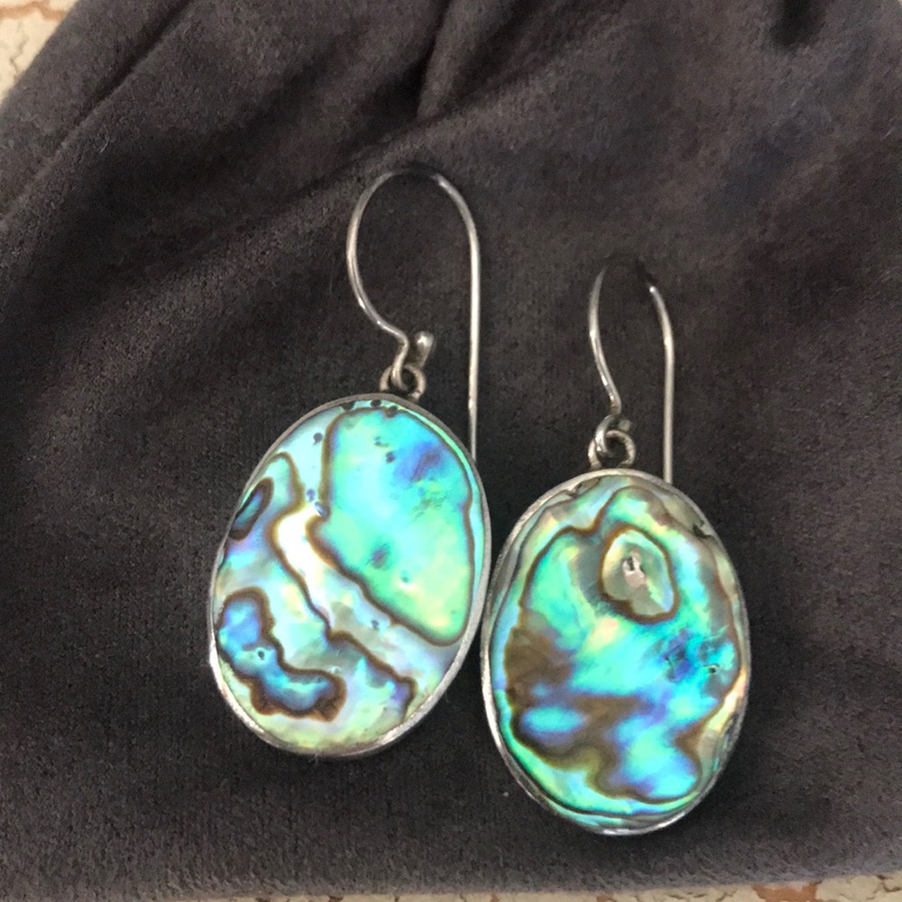 Handmade Abalone Earrings-EUC